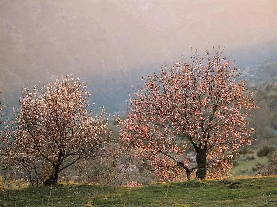 Casa Carmela, Rural House With Spectacular Views, In An Exquisite Area Villa Atalbeitar